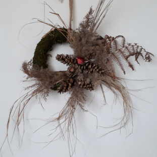 20181223_100046-small