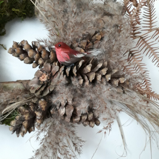 20181223_100054-small